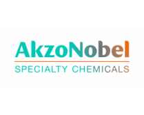 Logo AkzoNobel Specialty Chemicals