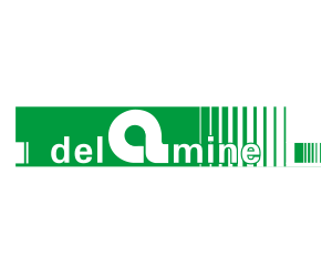 Logo Delamine